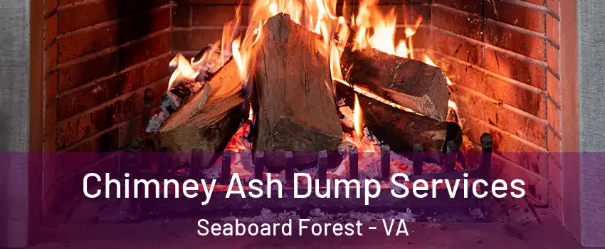 Chimney Ash Dump Services Seaboard Forest - VA