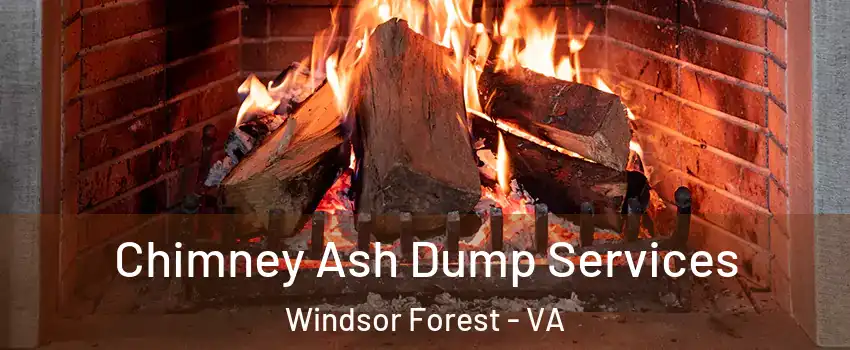 Chimney Ash Dump Services Windsor Forest - VA