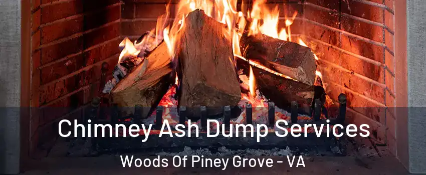 Chimney Ash Dump Services Woods Of Piney Grove - VA