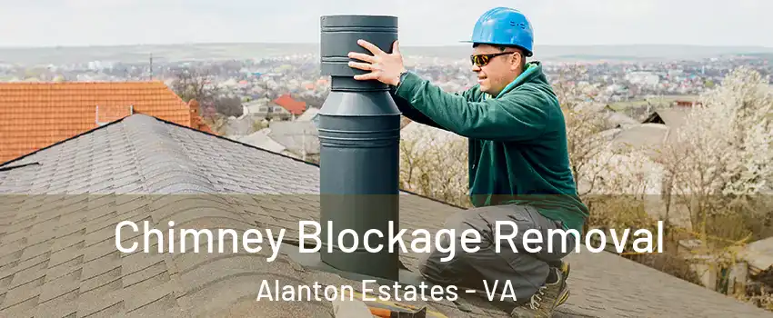 Chimney Blockage Removal Alanton Estates - VA