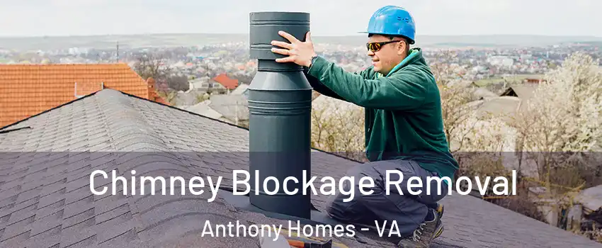 Chimney Blockage Removal Anthony Homes - VA