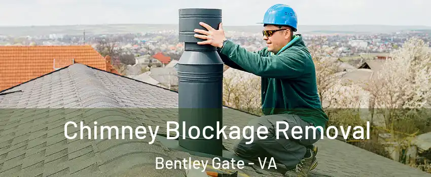 Chimney Blockage Removal Bentley Gate - VA