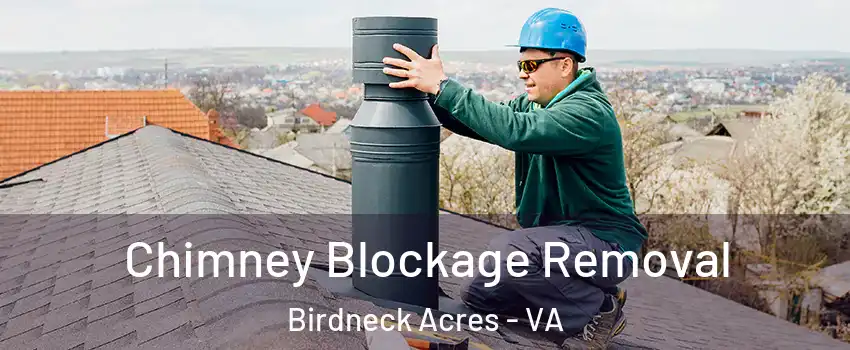 Chimney Blockage Removal Birdneck Acres - VA