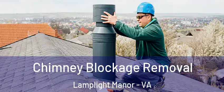 Chimney Blockage Removal Lamplight Manor - VA