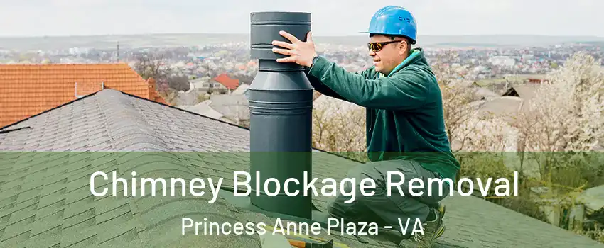 Chimney Blockage Removal Princess Anne Plaza - VA