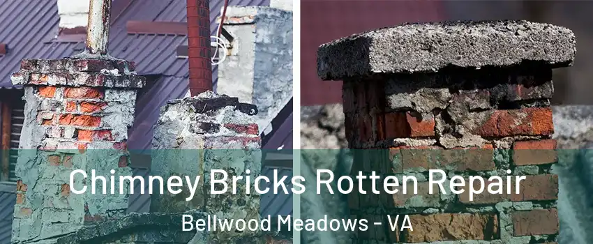 Chimney Bricks Rotten Repair Bellwood Meadows - VA