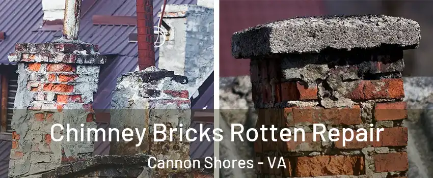 Chimney Bricks Rotten Repair Cannon Shores - VA