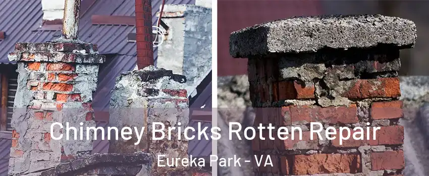 Chimney Bricks Rotten Repair Eureka Park - VA