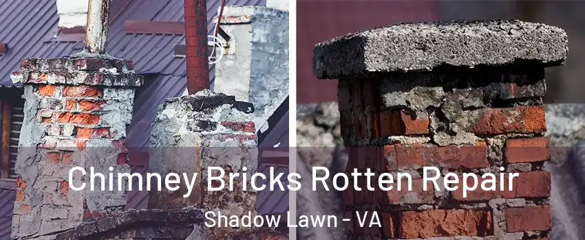 Chimney Bricks Rotten Repair Shadow Lawn - VA