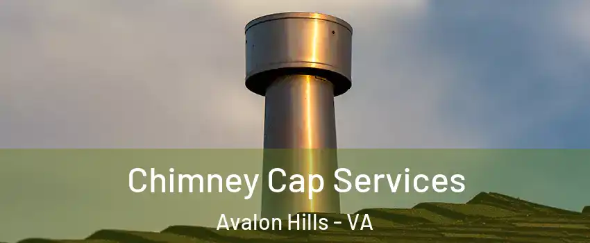 Chimney Cap Services Avalon Hills - VA