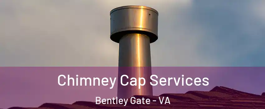 Chimney Cap Services Bentley Gate - VA