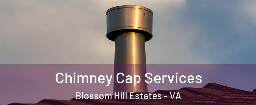 Chimney Cap Services Blossom Hill Estates - VA