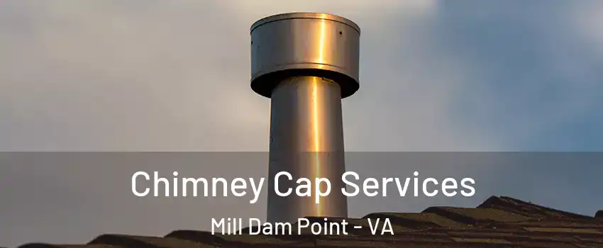 Chimney Cap Services Mill Dam Point - VA