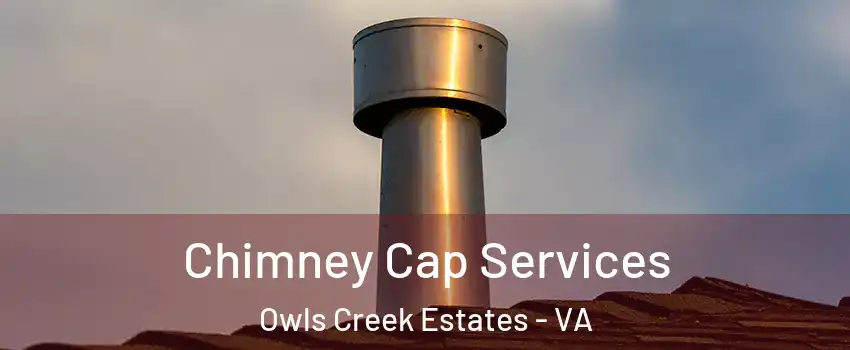 Chimney Cap Services Owls Creek Estates - VA