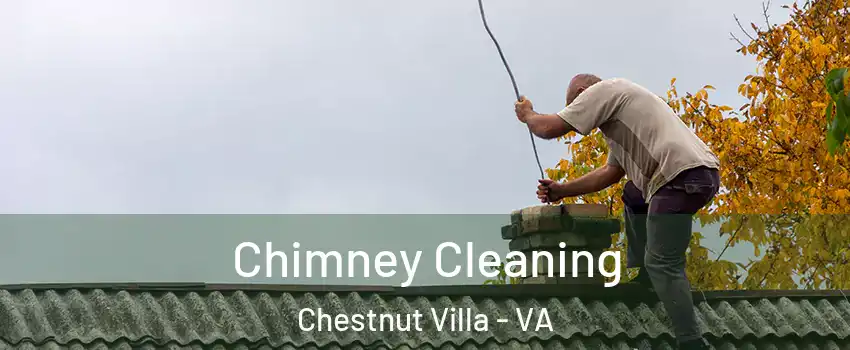 Chimney Cleaning Chestnut Villa - VA