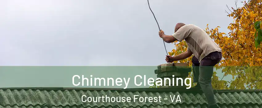 Chimney Cleaning Courthouse Forest - VA