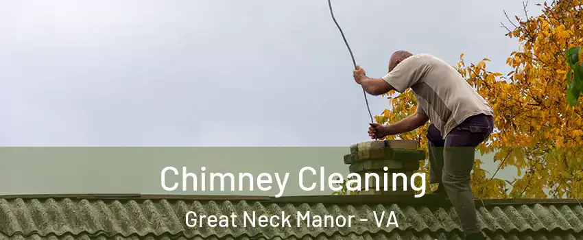 Chimney Cleaning Great Neck Manor - VA