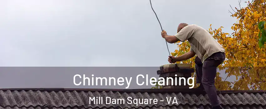 Chimney Cleaning Mill Dam Square - VA