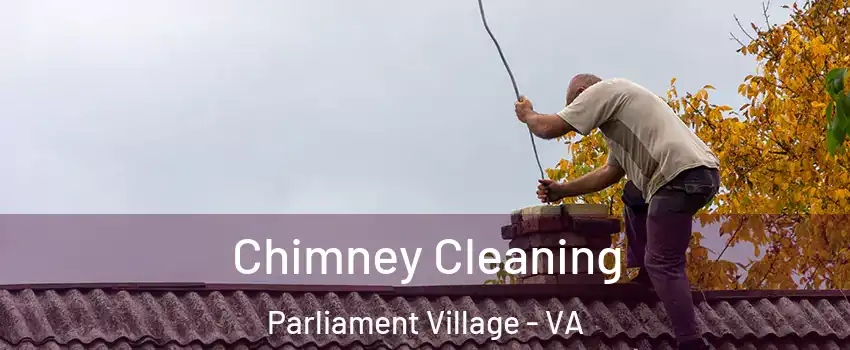 Chimney Cleaning Parliament Village - VA