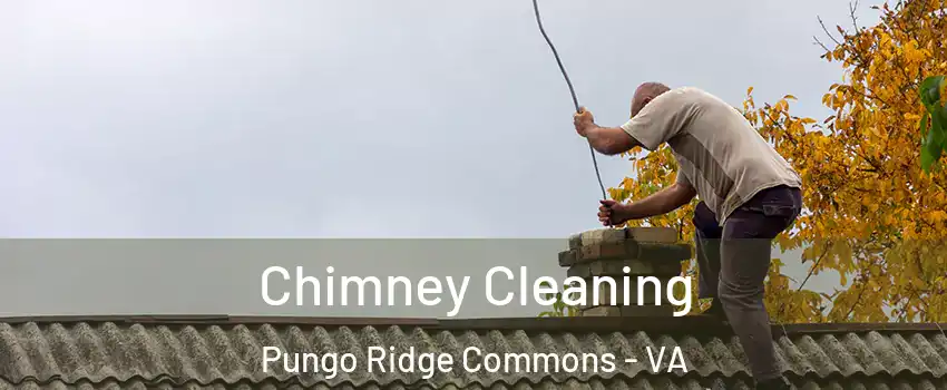 Chimney Cleaning Pungo Ridge Commons - VA