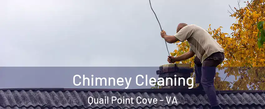 Chimney Cleaning Quail Point Cove - VA