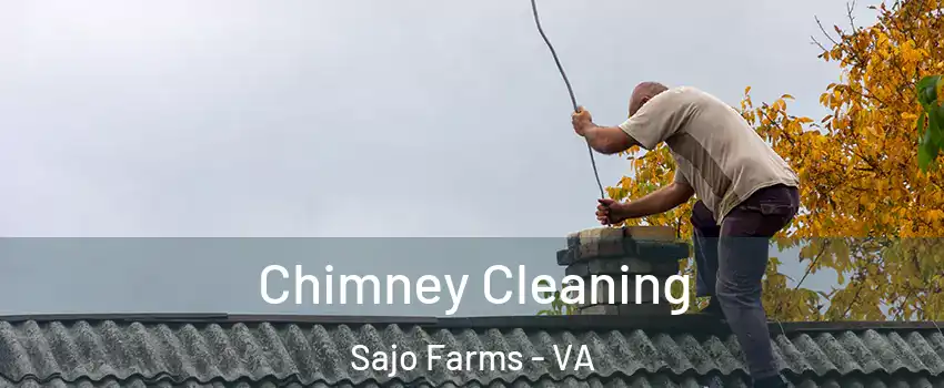 Chimney Cleaning Sajo Farms - VA