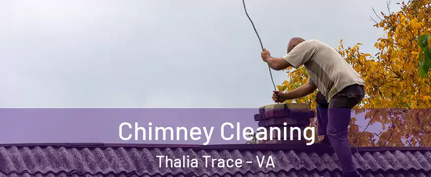 Chimney Cleaning Thalia Trace - VA