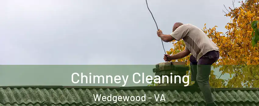 Chimney Cleaning Wedgewood - VA