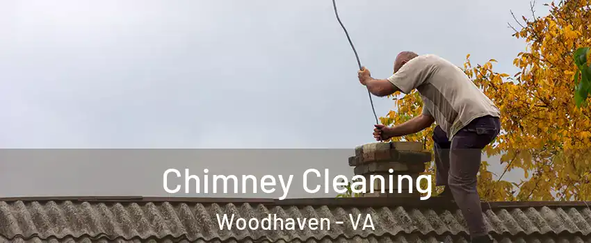 Chimney Cleaning Woodhaven - VA