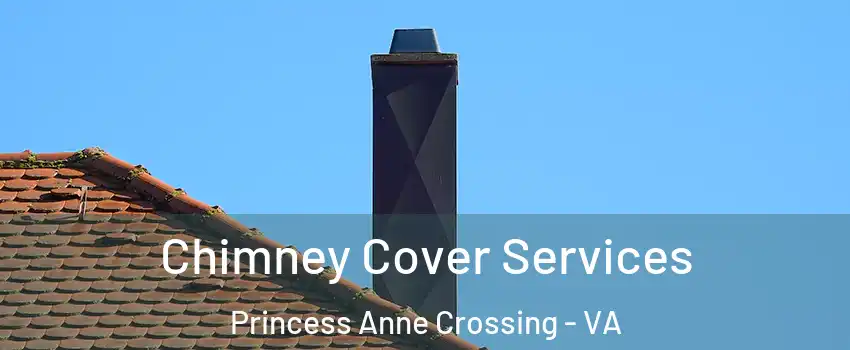 Chimney Cover Services Princess Anne Crossing - VA