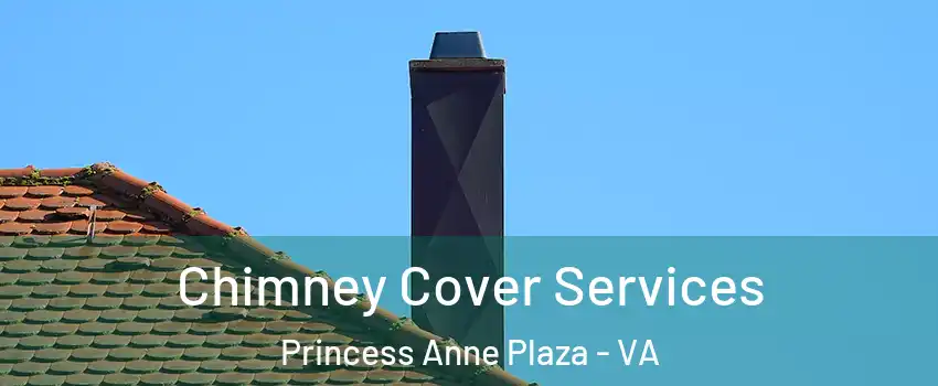 Chimney Cover Services Princess Anne Plaza - VA