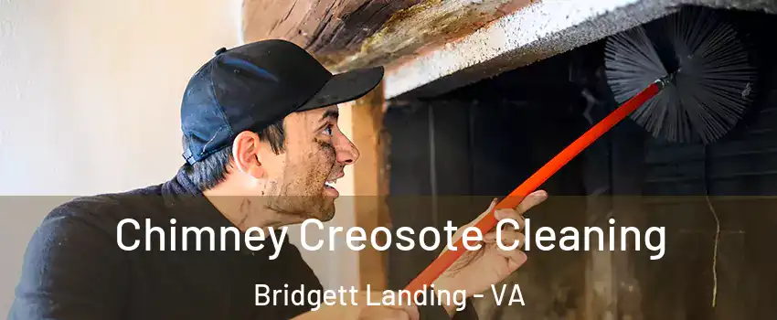 Chimney Creosote Cleaning Bridgett Landing - VA