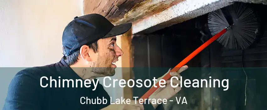 Chimney Creosote Cleaning Chubb Lake Terrace - VA