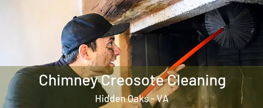 Chimney Creosote Cleaning Hidden Oaks - VA