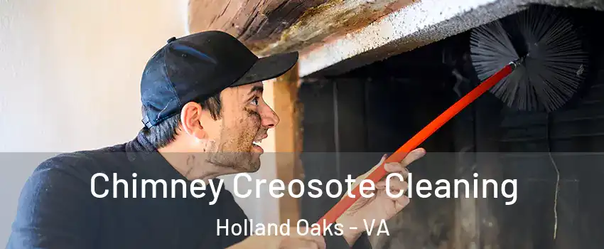 Chimney Creosote Cleaning Holland Oaks - VA