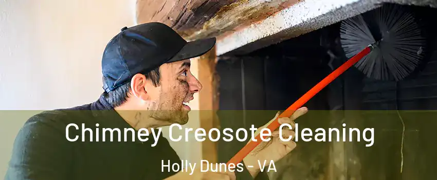 Chimney Creosote Cleaning Holly Dunes - VA