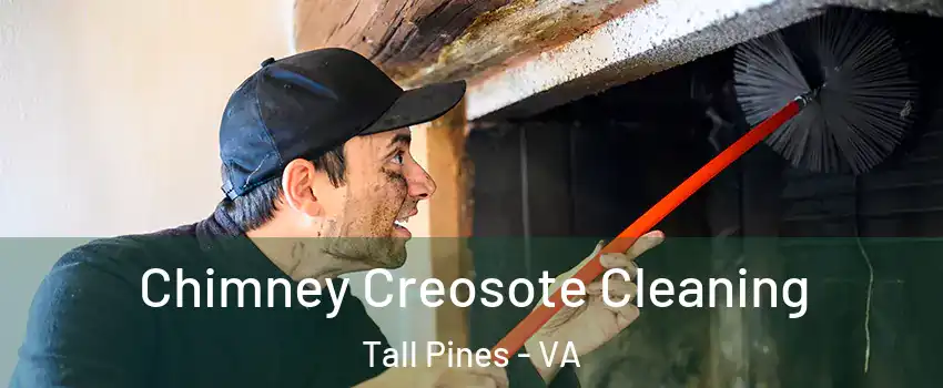 Chimney Creosote Cleaning Tall Pines - VA