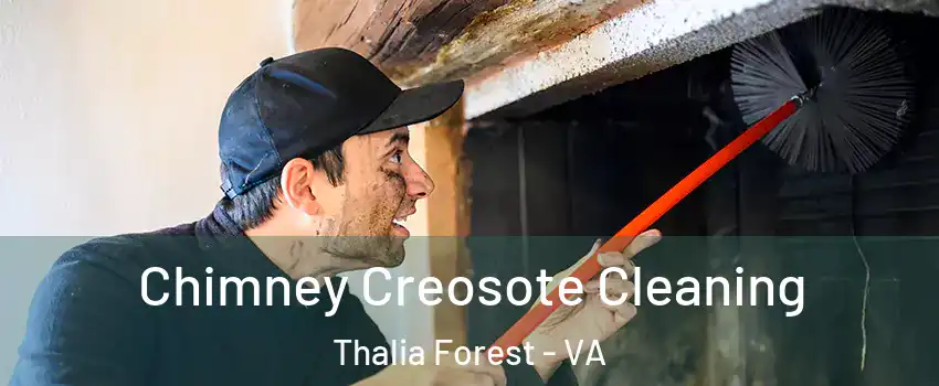 Chimney Creosote Cleaning Thalia Forest - VA