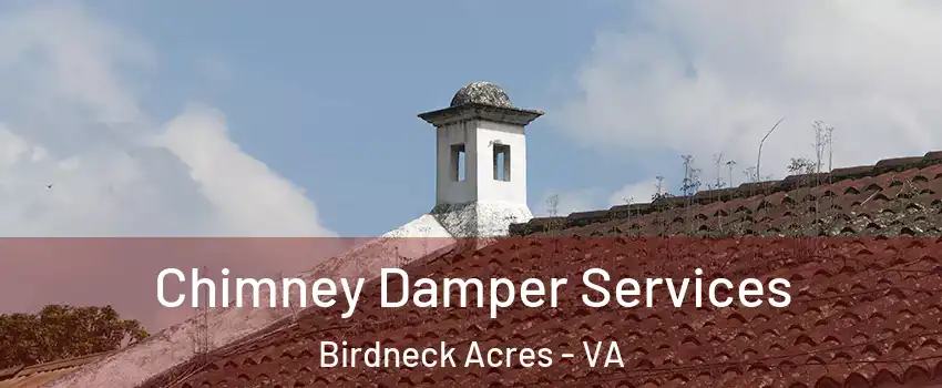 Chimney Damper Services Birdneck Acres - VA