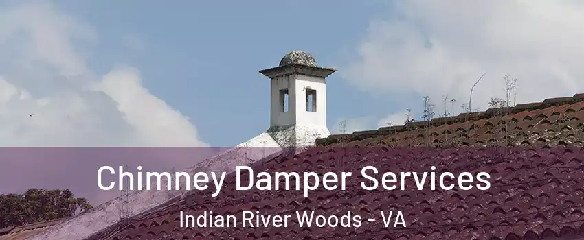 Chimney Damper Services Indian River Woods - VA