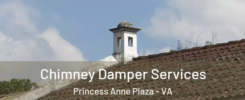 Chimney Damper Services Princess Anne Plaza - VA