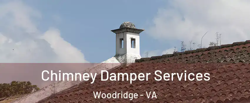 Chimney Damper Services Woodridge - VA