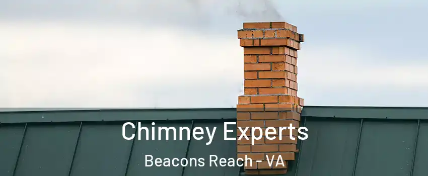 Chimney Experts Beacons Reach - VA