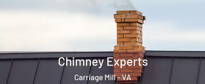 Chimney Experts Carriage Mill - VA