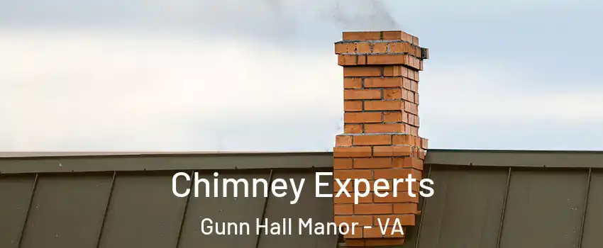 Chimney Experts Gunn Hall Manor - VA