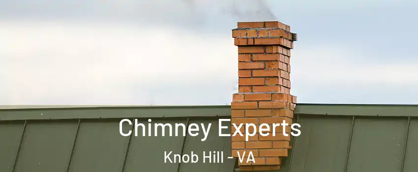 Chimney Experts Knob Hill - VA