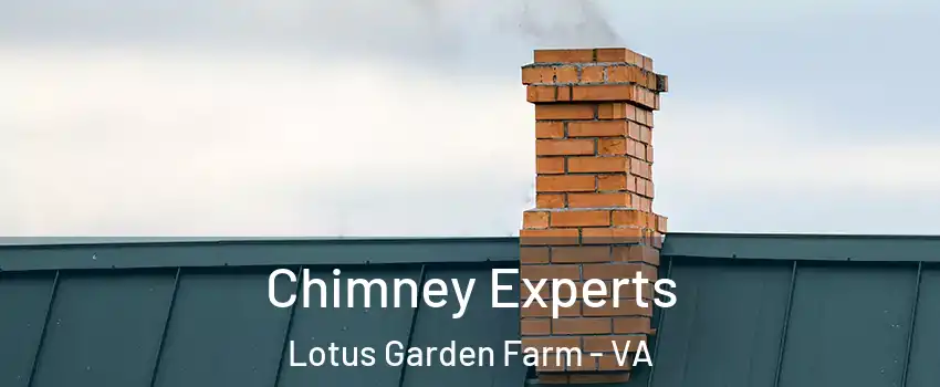 Chimney Experts Lotus Garden Farm - VA