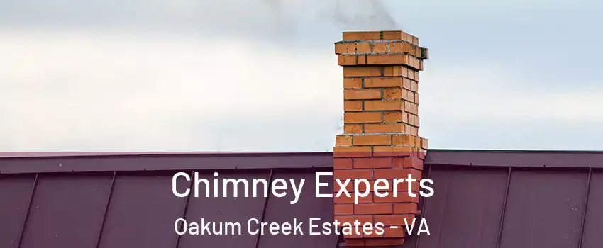 Chimney Experts Oakum Creek Estates - VA