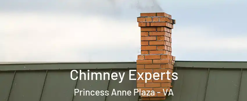 Chimney Experts Princess Anne Plaza - VA