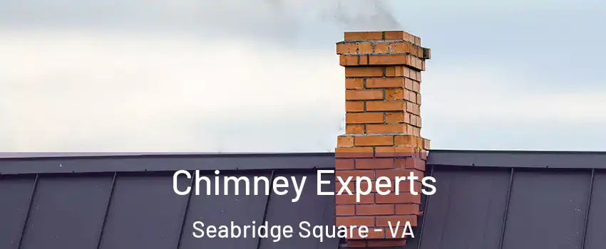 Chimney Experts Seabridge Square - VA